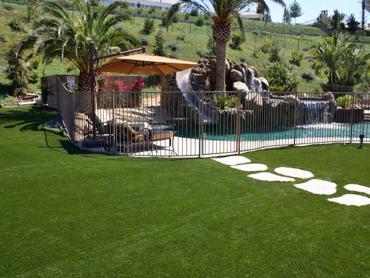 Artificial Grass Photos: Fake Pet Turf Los Alamitos California Landscape